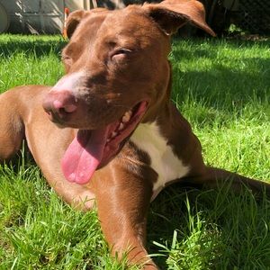 Meet your Posher, Marianna